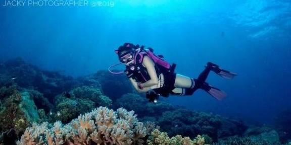 海贼王红发画风变化历史 在确定四皇身份之后 造型越来越帅气