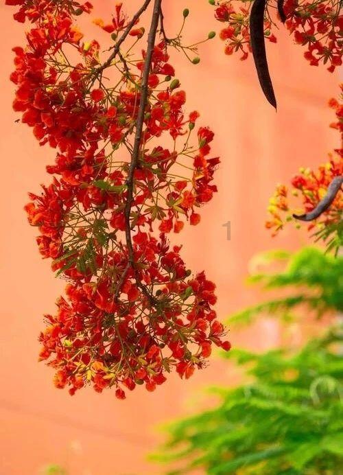 给宝宝挑选奶粉要注意哪几点？看看明一集团亲然奶粉