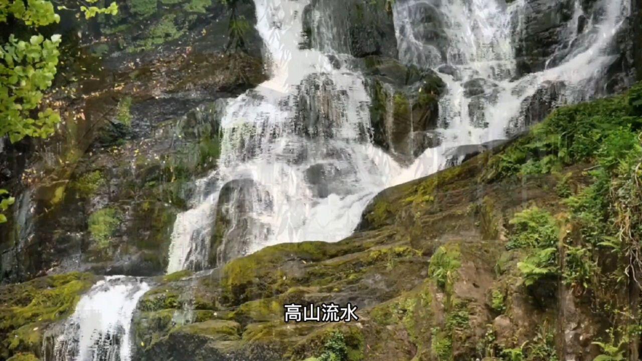 幼儿文学收集之儿歌