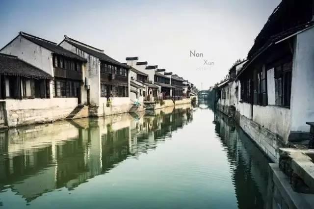 动物帮帮忙保卫家园