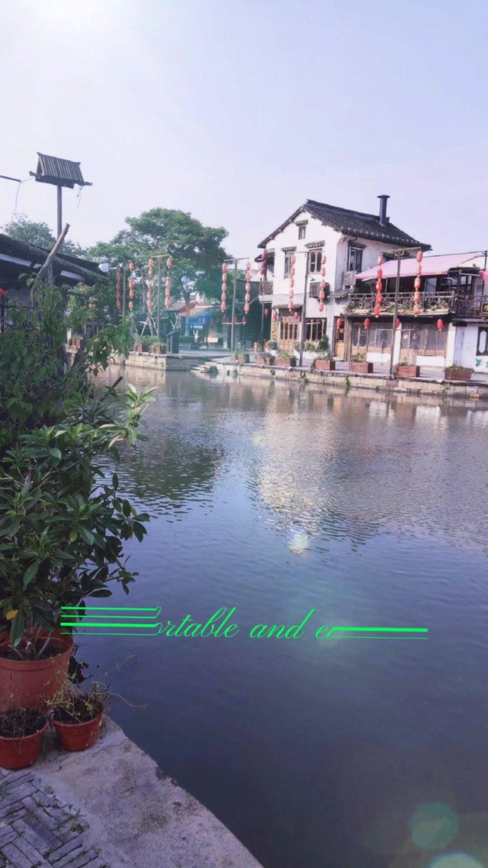国王的坐骑