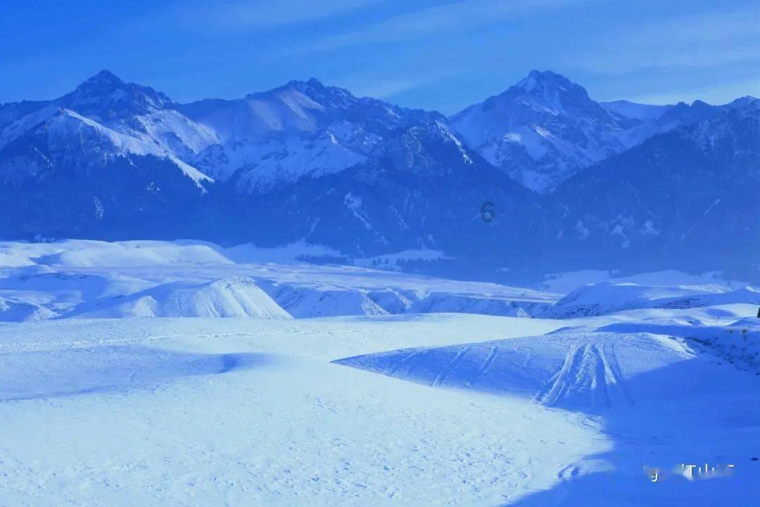 宝贝七巧板